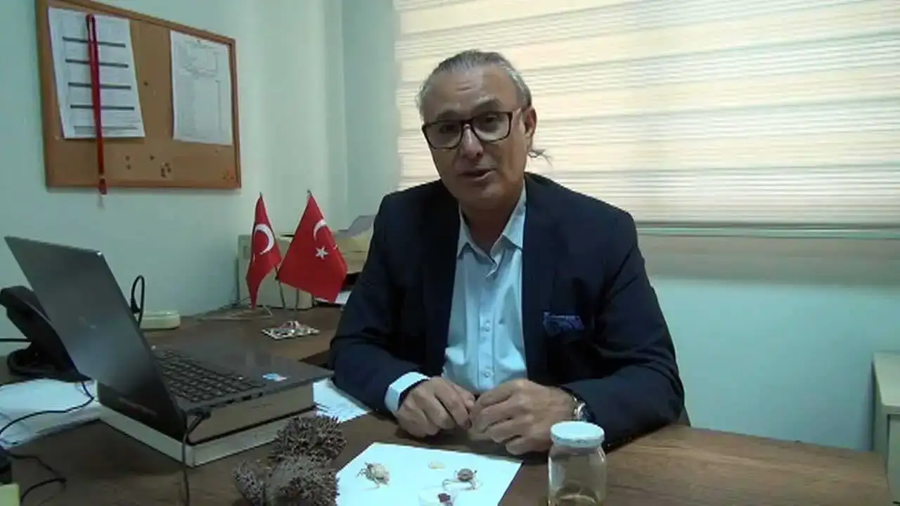 İskenderun Körfezi’nde İlk Kez Görüldü: Akdeniz’e Tropik Göç Başladı! 2